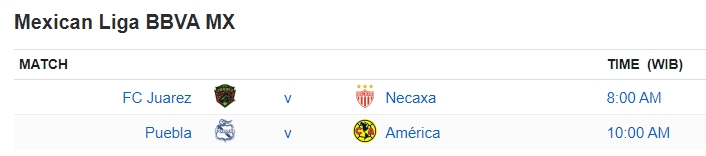 Mexican Liga BBVA MX